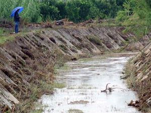 Emergenza alluvione: prioritari il riassetto idrogeologico e la messa in sicurezza del territorio