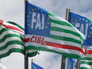 Fai Cisl: celebrato il congresso straordinario di Taranto Brindisi