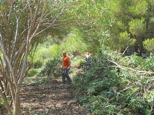 FORESTALI: LUNEDI’ PRESIDIO DEI LAVORATORI ALLA PRESIDENZA DELLA REGIONE PUGLIA