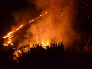 Emergenza incendi: Cisl, ciascuno è chiamato a fare la sua parte